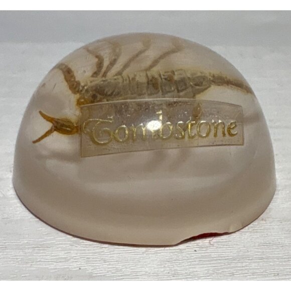 Vintage  Scorpion Paperweight Tombstone Dome Resin Bug Display Red Felt Base - Picture 3 of 8
